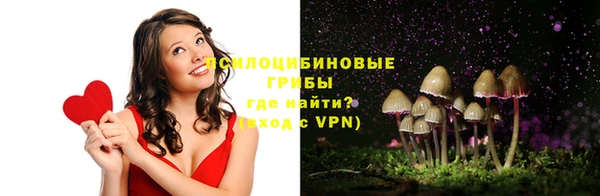 дживик Магадан