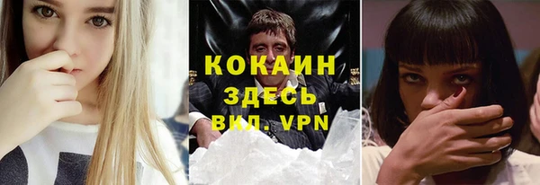 твердый Лиски