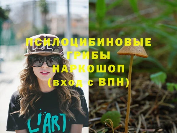 ешки Магас