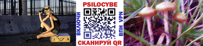 Галлюциногенные грибы MAGIC MUSHROOMS  где продают наркотики  darknet телеграм  Углич 