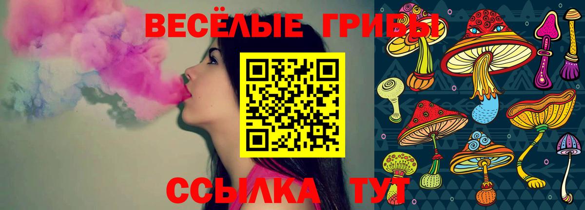Галлюциногенные грибы прущие грибы  Вход с VPN  Углич  Псилоцибиновые грибы мухоморы 
