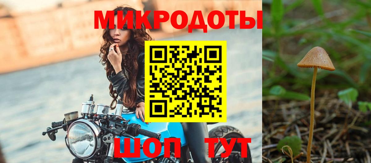 Псилоцибиновые грибы MAGIC MUSHROOMS Углич